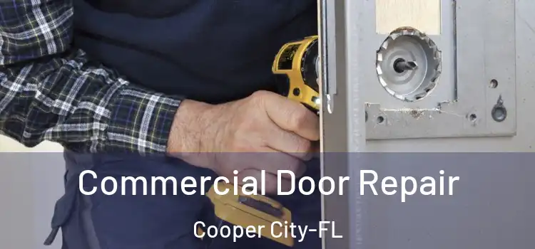 Commercial Door Repair Cooper City-FL