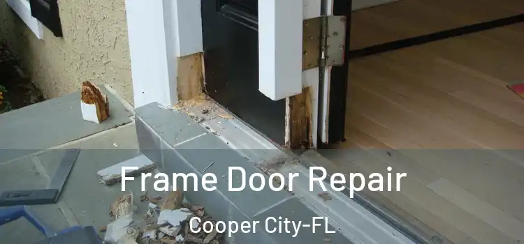 Frame Door Repair Cooper City-FL