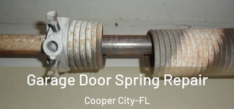 Garage Door Spring Repair Cooper City-FL