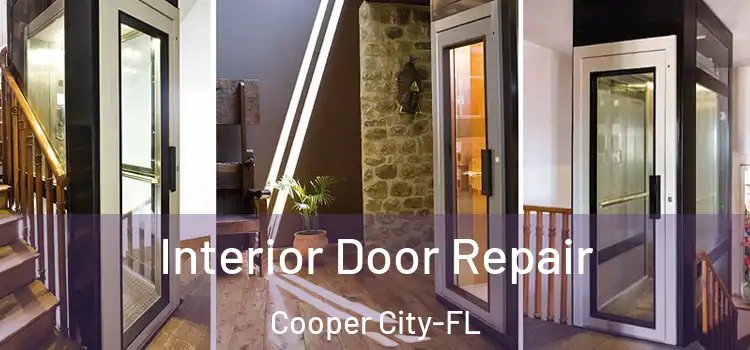 Interior Door Repair Cooper City-FL