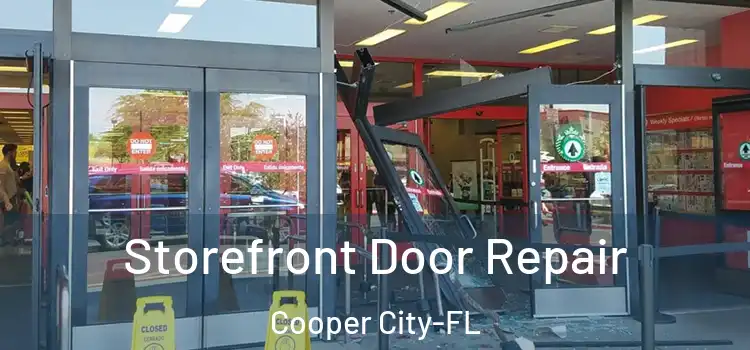  Storefront Door Repair Cooper City-FL