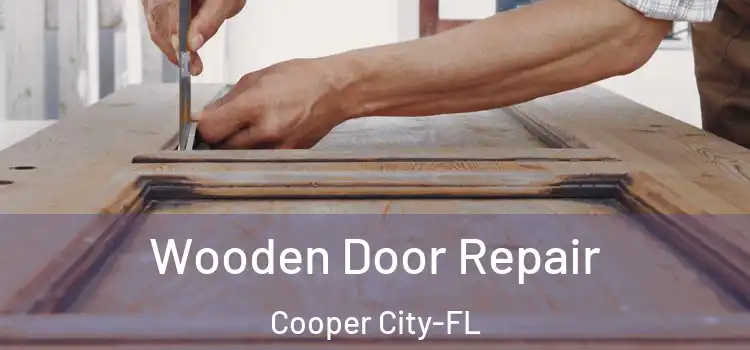 Wooden Door Repair Cooper City-FL
